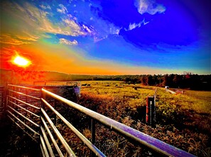 A picture from the corral system located at the neifhboring Rivard Ranch