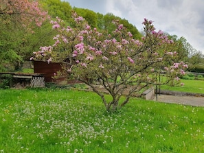 Boendeområde