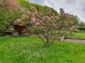 Boendeområde