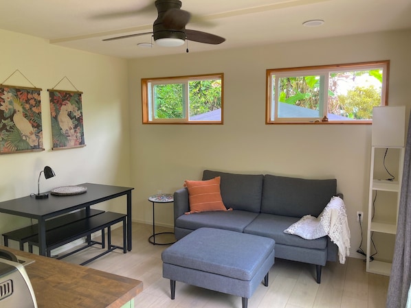 Living Room / Kitchen / Dinning