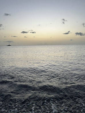 Divers