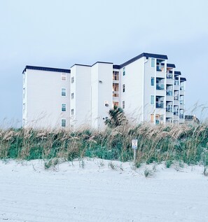 View from the beach!