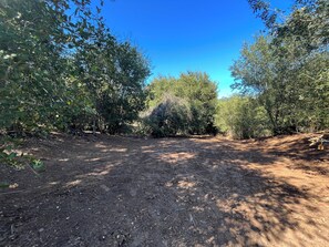 Terrain de l’hébergement 