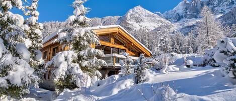 Chalet Black Stone with beautiful mountain backdrop