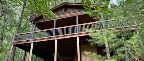 Vacation elevated in the trees of the Chattahoochee National Forest.