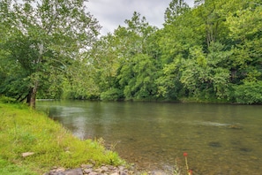 Sinnamahoning Creek On-Site | Wildlife Viewing | Fire Pit | Grill