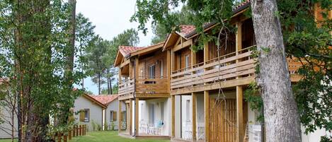 Plant, Building, Property, Sky, Tree, Window, House, Wood, Natural Landscape, Land Lot