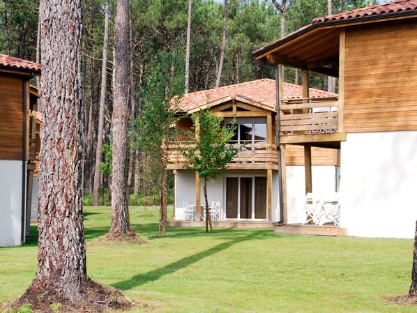 Plante, Bâtiment, Propriété, Fenêtre, Vert, Arbre, La Nature, Paysage Naturel, Maison, Lot Terre