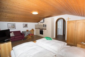 Appartement für maximal 3 Personen, 27 qm-Der Wohn- und Schlafbereich
