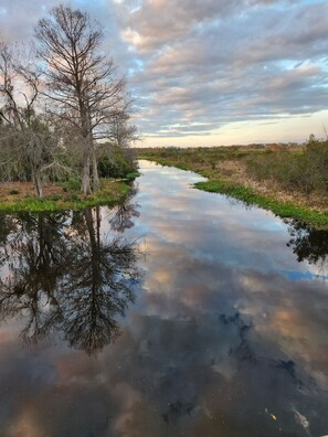 reflection at dawn