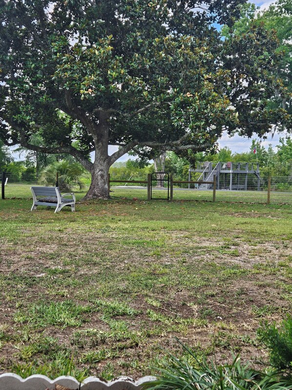 park like setting view from porch