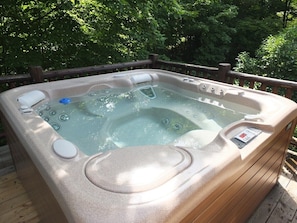 EXTERIOR: Spa / Hot Tub: With the cover off