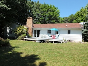 OVERVIEW: The backyard in summer