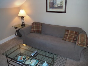 OVERALL: The home has a comfy living room with a sofa, coffee table, chair, lamp, window A/C, and live streaming television.