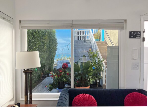 View from the Window
