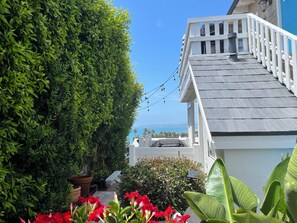 View from Courtyard