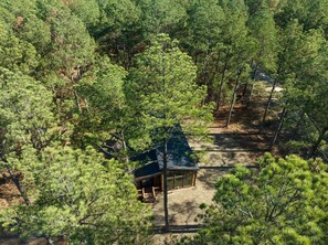Nestled in the woods