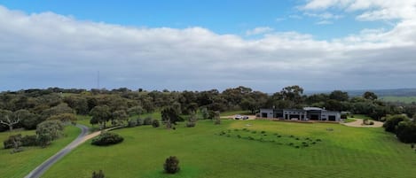 An aerial view of a large, green landscape with a modern house situated among trees and a winding road leading up to it, under a partly cloudy sky.