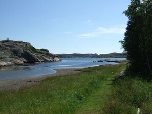 viken