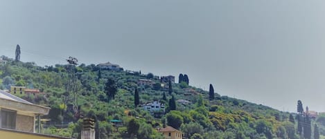 Terrain de l’hébergement 