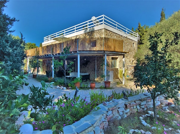Image 1