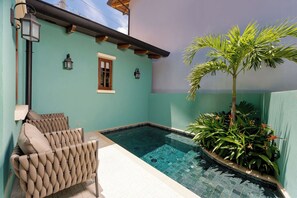 Private Plunge Pool