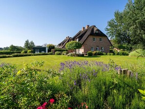 Reetdachhaus Lütt Strandhüs