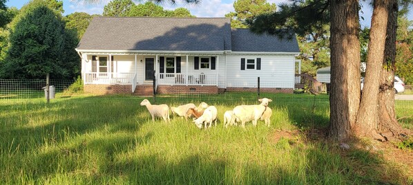 Meadow Farmhouse