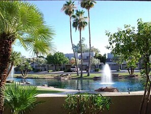 From patio to water view. Pool is a few units down to the left.