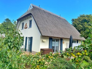 Esterni