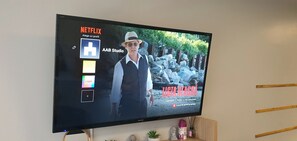 Television