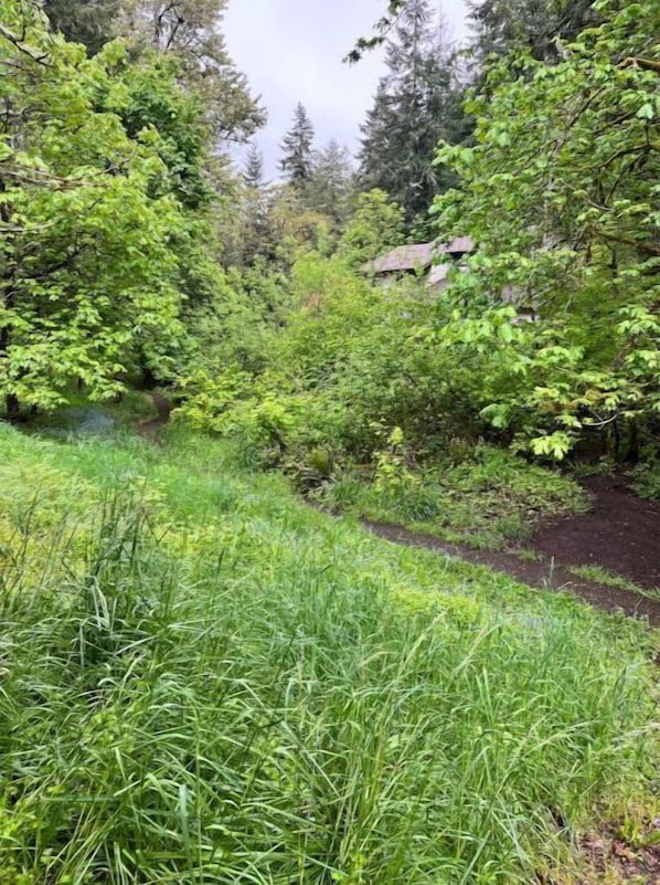 Parco della struttura
