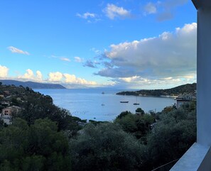 Vista desde la propiedad