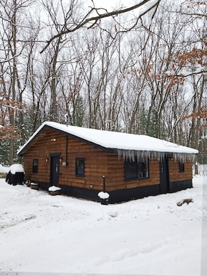 Cozy & Warm on a snowy day. Close to 2 ski resorts.