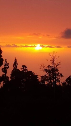 Sunset view!