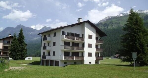 Picture 1