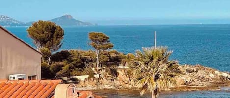 Vue sur la plage/l’océan