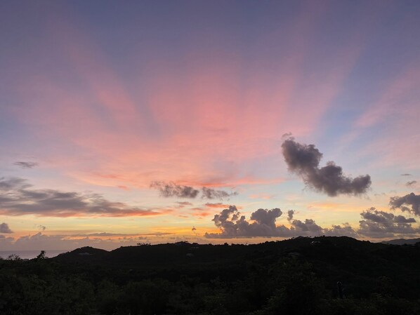Sunrise Escape!
