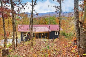 View from the back during fall