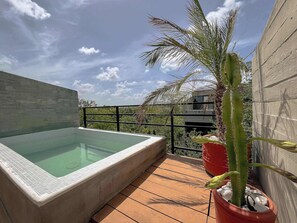 Outdoor spa tub