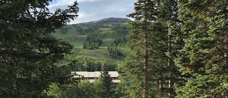 View of Ski Resort