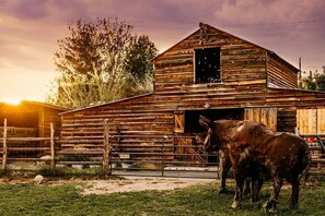 Barn at Sunset -Unique Gathering Space