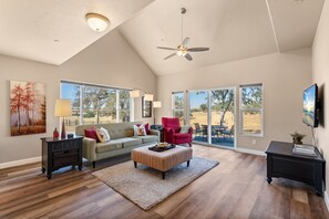 Large Roku TV in living room