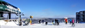 Snow and ski sports