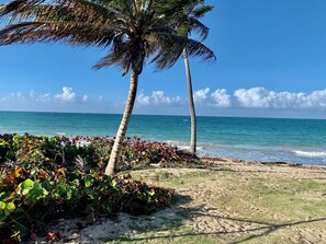 Praia