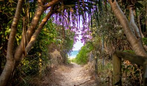 Track to the beach