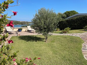 Side garden
