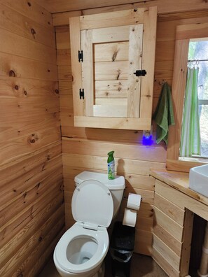 More of the bathroom.
