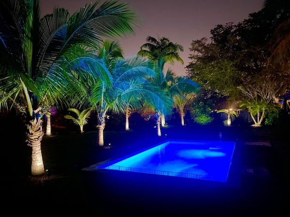Gorgeous 12x 24 private pool overlooking tropical landscape & Bel Aire Canal.