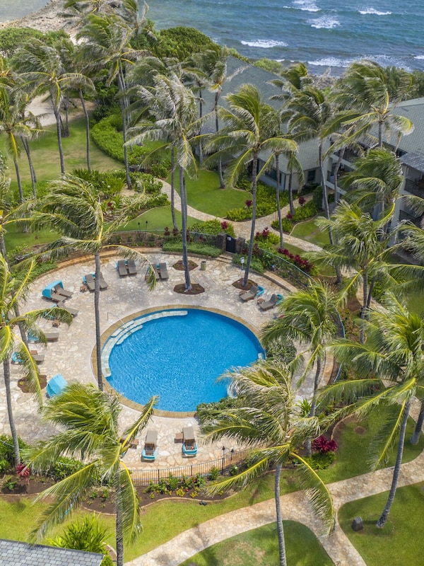 Ocean Villas heated pool, hot tub, lounging chairs, gardens and grills.
